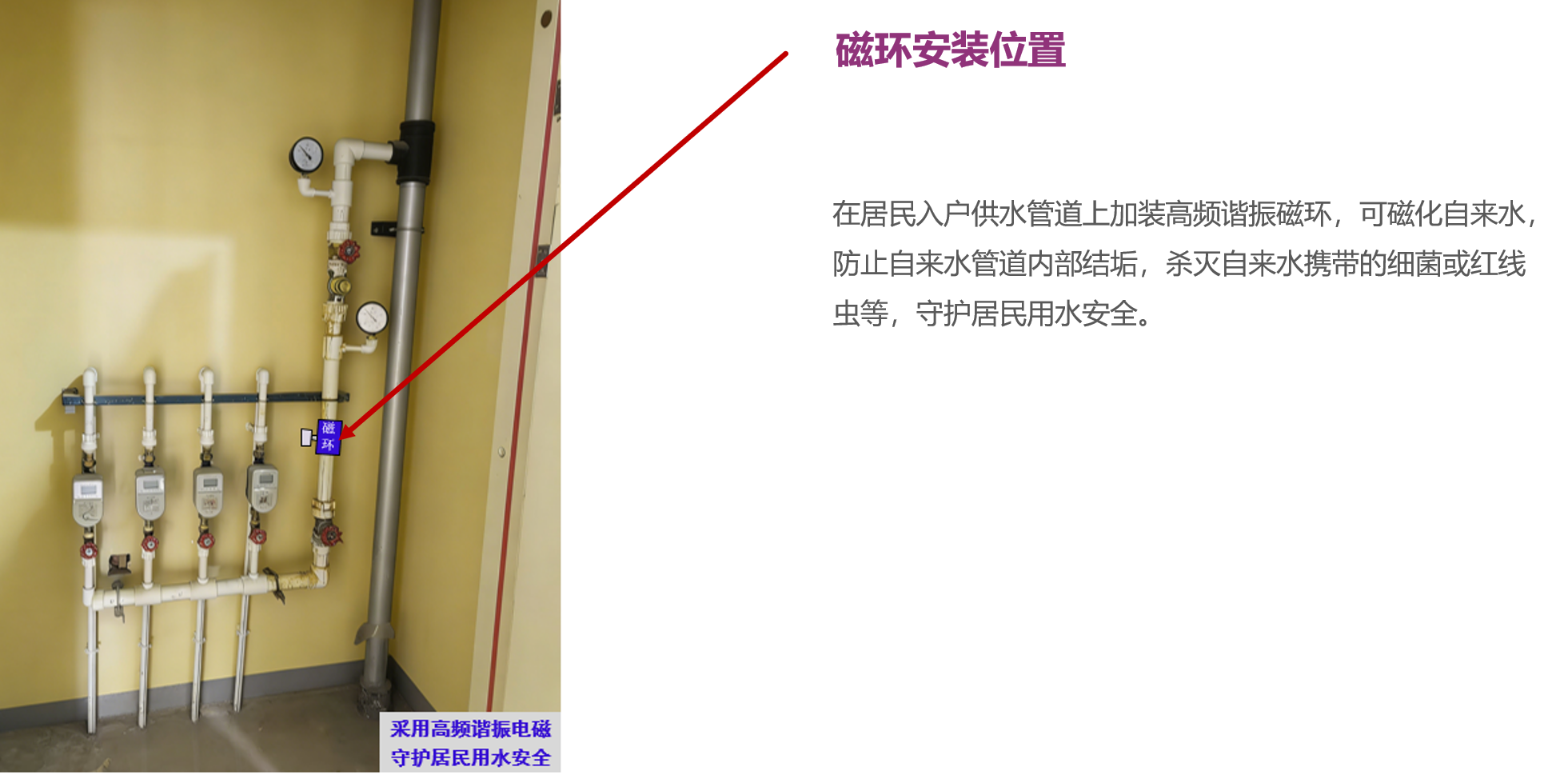 1772445241939111.png image.png