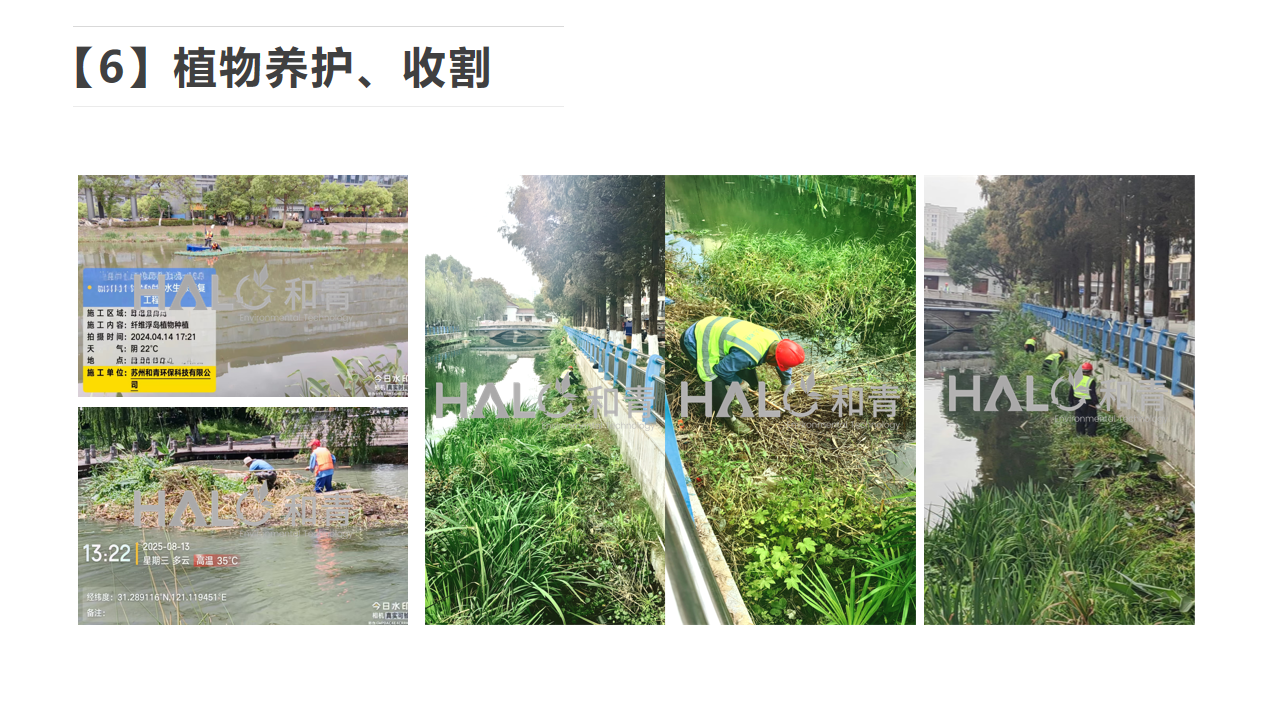 1775628611613578.png 1775628611613578.png