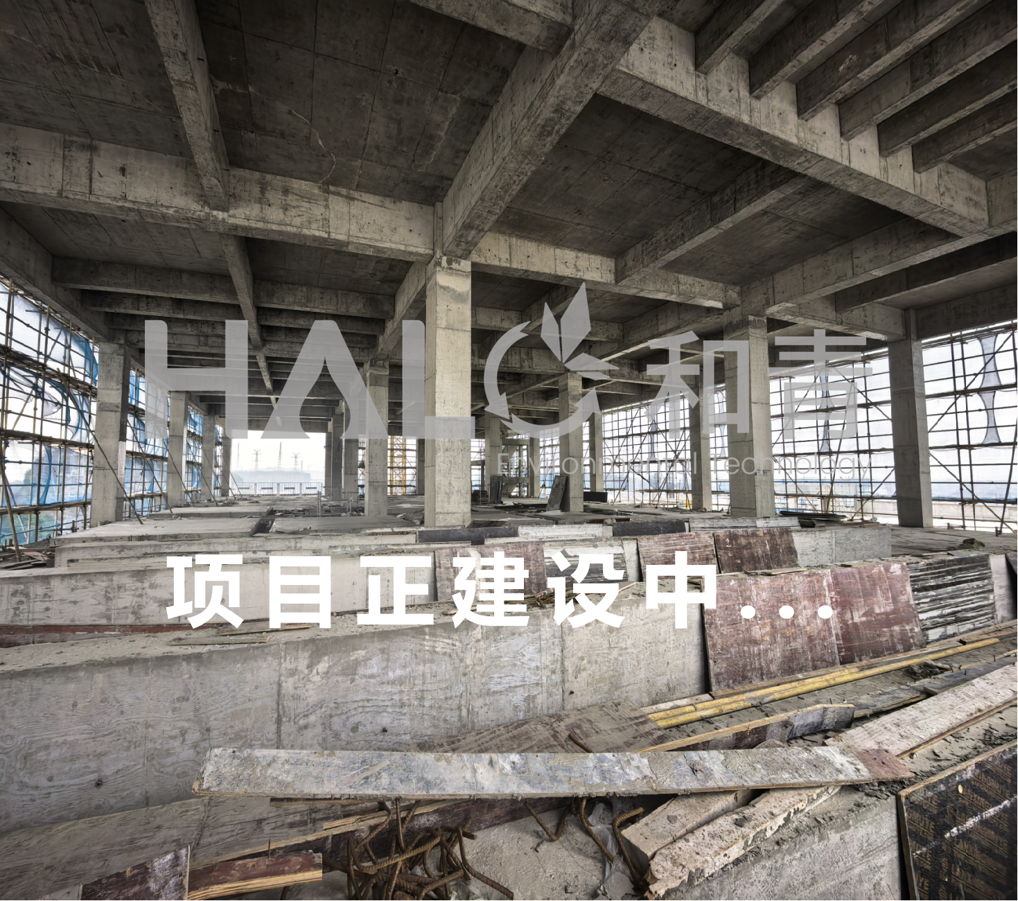 牛磺酸 - 电吸附提纯项目